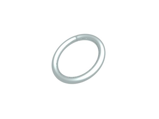 [301200] Flag ring galvanized